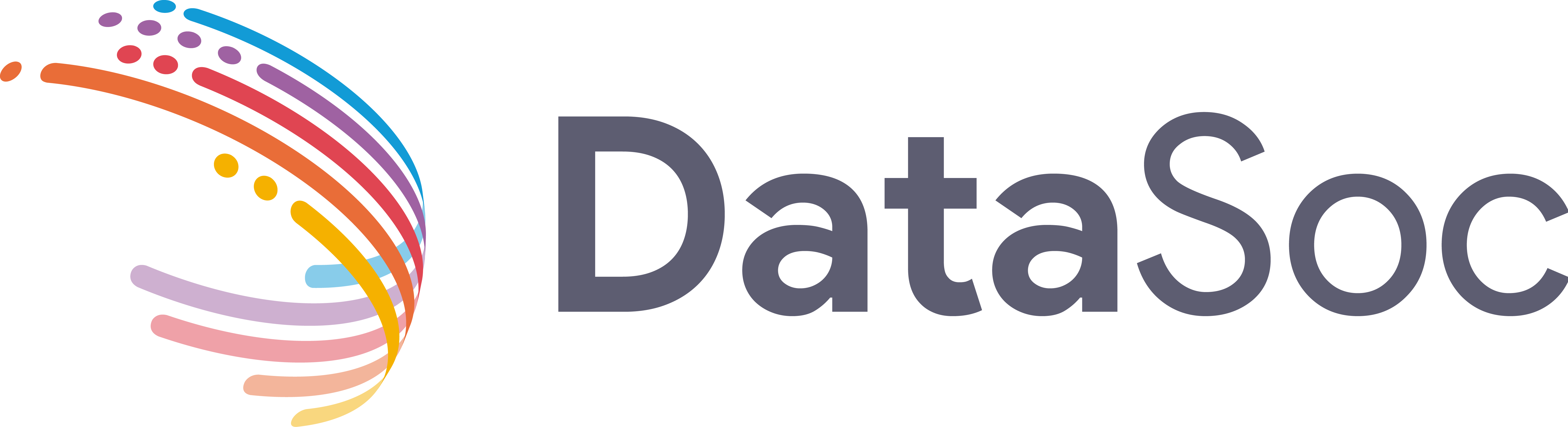 UNSW Data Science Society logo
